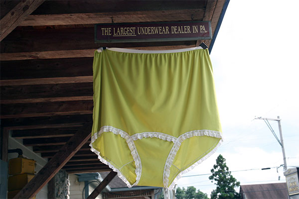 panties